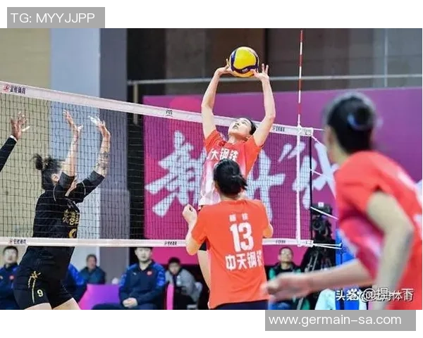 排球焦点：杭州排球队的力量探讨