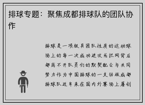 排球专题：聚焦成都排球队的团队协作
