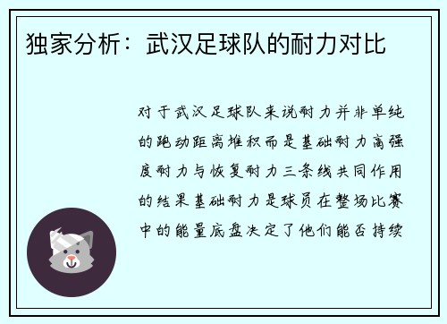 独家分析：武汉足球队的耐力对比