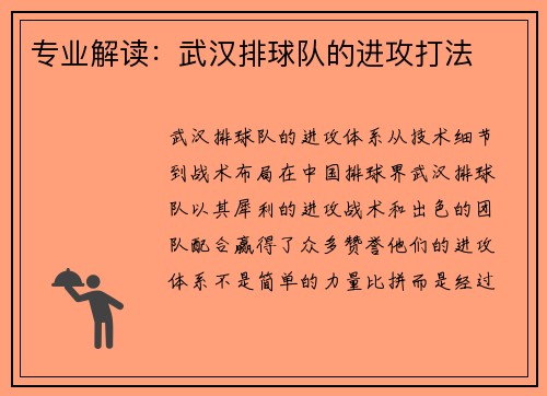 专业解读：武汉排球队的进攻打法